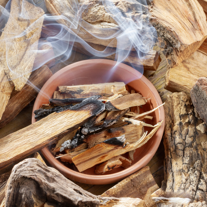top 5 benefits of palo santo incense sticks | chloe and crown