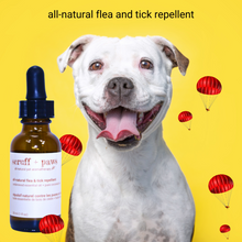 Charger l&#39;image dans la galerie, all-natural flea &amp; tick repellent - pet aromatherapy
